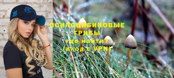 PSILOCYBIN Нефтекумск