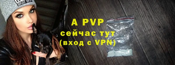 PSILOCYBIN Нефтекумск