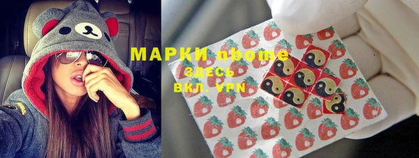 шишки Сатка