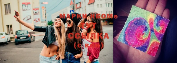 сатива Болхов